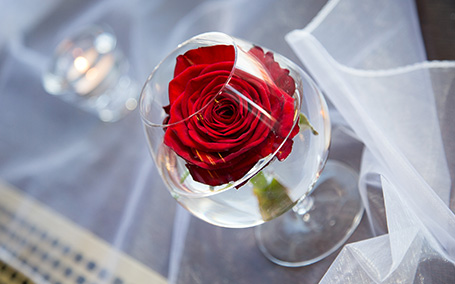 Hotel & restaurant Vetruše - Weddings